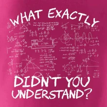 What exactly didn't you understand - physics