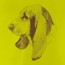 Basset - kreslená hlava