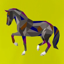 Kôň geometria farebný