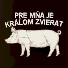 Pre mňa je kráľom zvierat prasa