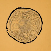 Letokruhy 75 bez veku