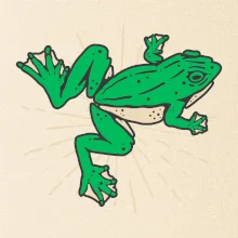 Žaba zelená kreslená