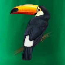 Tukan kreslený