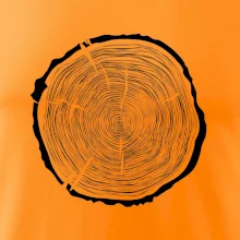 Letokruhy 70 bez veku Letokruhy 70 bez veku