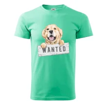 Zlatý retriever - šteniatko wanted