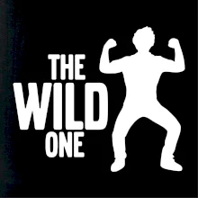 Bachelor party - The wild one