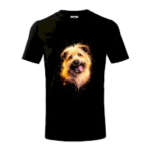 Obrázok poltón Briard