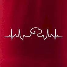 Labradorský retriever EKG Labradorský retriever EKG