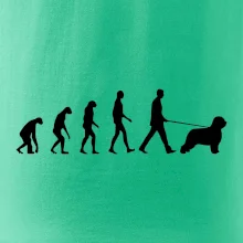 Evolúcia pes Briard