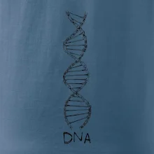 Cyklistovo DNA