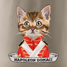 Napoleon domáci mačka