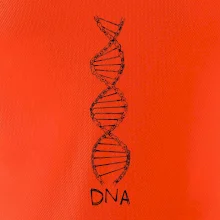 Cyklistovo DNA