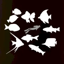 Potápač ryby štvorec