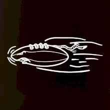 Americký futbal letiaca lopta