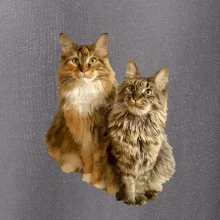 Mačky vectorizované (Moňas)