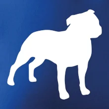 Americký stafordšírsky teriér Na prsníku