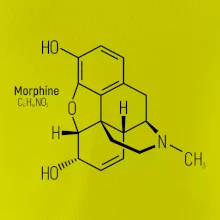Molekulárna štruktúra Morfín