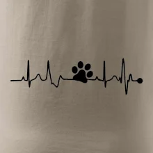 Ekg psia labka Ekg psia labka