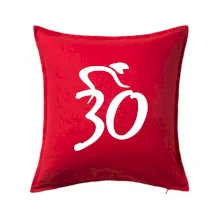 Cyklista oslavuje tridsiatku (30)