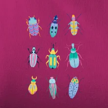 Farebné chrobáky (studio-arte.cz)