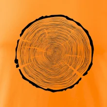 Letokruhy 100 bez veku Letokruhy 100 bez veku