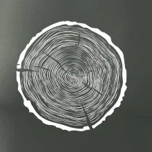 Letokruhy 60 bez veku