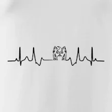 Shih-tzu ekg hlava Shih-tzu ekg hlava