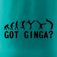 Capoeira - Got Ginga