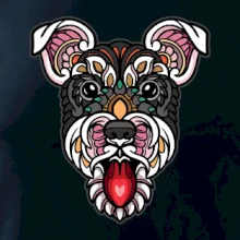 Knírač hlava barevná