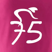 Cyklista oslavuje sedemdesiatpäťpäťky (75)