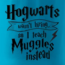Harry - Hogwarts wasn’t hiring, so I teach Muggles instead