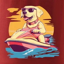 Zlatý retriever na vodnom skútri