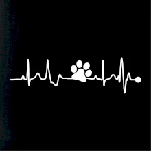 Ekg psia labka Ekg psia labka
