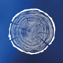 Letokruhy 100 bez veku