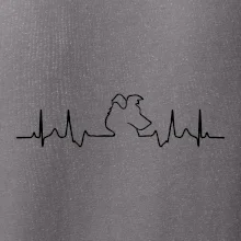 Borderská kólia EKG