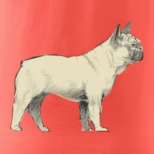 Vintage French bulldog