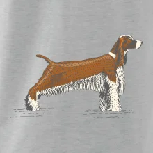 Vintage Springer spaniel