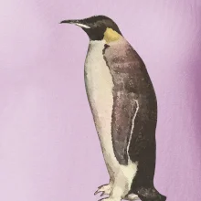 Tučniak kreslený vodovými farbami