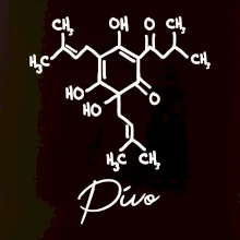 Barová chémia - pivo