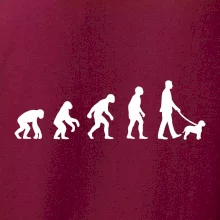 Lagotto romagnolo Evolúcia