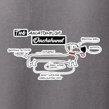 Jazvečík - Anatómia