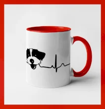 Jack Russell Teriér hrubosrstý Ekg