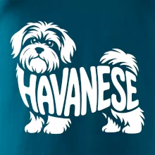 Havanese nápis v tele