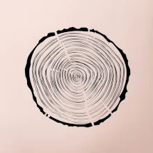 Letokruhy 30 bez veku