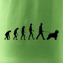 Evolúcia pes Briard