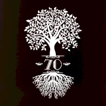 Narodeninový strom 70