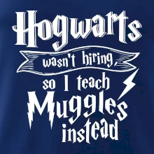 Harry - Hogwarts wasn’t hiring, so I teach Muggles instead