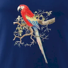 Papagáj  na listnatom strome