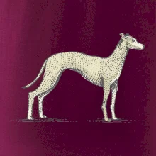 Vintage Whippet