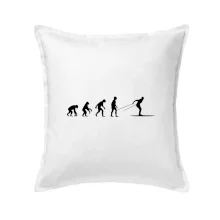 Evolúcia behu - bežky Evolúcia behu - bežky